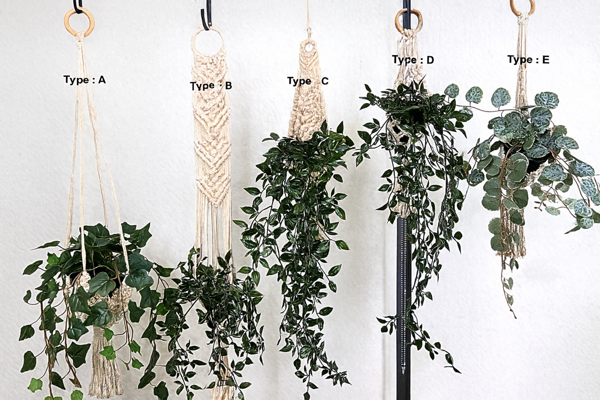 Organic Cotton Macrame Plant Hangers