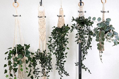 Organic Cotton Macrame Plant Hangers
